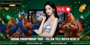 Sabong Championship Fight - Follow Title Match Results