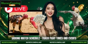 Sabong Match Schedule - Track Fight Times And Events